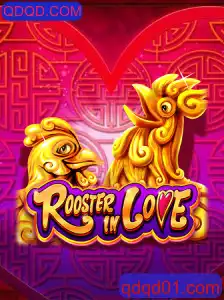 Descubra o Fascinante Mundo de RoosterInLove
